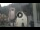 Webcam in Canazei, 0.8 mi away