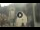 Webcam in Canazei, 0.2 km