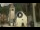 Webcam in Canazei, 3.9 km entfernt