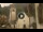 Webcam in Canazei, 0.3 km entfernt