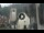 Webcam in Canazei, 0.9 mi away
