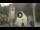 Webcam in Canazei, 1.3 km