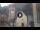 Webcam in Canazei, 0.3 km