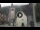 Webcam in Canazei, 3.4 km entfernt
