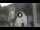 Webcam in Canazei, 0.3 km