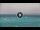 Webcam in Stintino (Sardinien), 0.5 km entfernt