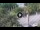 Webcam in Reggio Calabria, 4.6 mi away