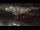 Webcam in Bremerhaven, 37.6 km entfernt