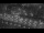 Webcam in Bremerhaven, 20.8 mi away
