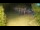 Webcam in Murter, 13.6 km