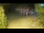 Webcam in Murter, 1.4 km