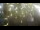 Webcam in Jurmala, 0.2 km
