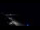 Webcam in Jurmala, 0.3 mi away