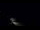 Webcam in Jurmala, 0.2 mi away