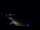 Webcam in Jurmala, 0.1 mi away