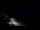 Webcam in Jurmala, 56 mi away