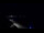 Webcam in Jurmala, 68.5 mi away