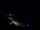 Webcam in Jurmala, 0.3 mi away