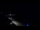 Webcam in Jurmala, 0.3 mi away