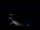 Webcam in Jurmala, 0.5 km