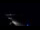 Webcam in Jurmala, 0.5 km