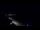 Webcam in Jurmala, 0.5 km