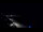 Webcam in Jurmala, 0.5 km