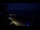 Webcam in Jurmala, 0.1 km
