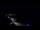 Webcam in Jurmala, 0.3 mi away
