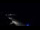 Webcam in Jurmala, 0.3 mi away