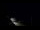 Webcam in Jurmala, 0.2 mi away