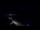 Webcam in Jurmala, 68.5 mi away