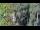 Webcam in Jurmala, 5.6 mi away