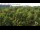 Webcam in Jurmala, 2 mi away