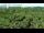 Webcam in Jurmala, 2.4 mi away