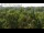 Webcam in Jurmala, 60 km