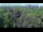 Webcam in Jurmala, 2.4 mi away