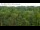 Webcam in Jurmala, 5.4 km