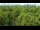 Webcam in Jurmala, 2.4 mi away