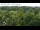 Webcam in Jurmala, 14 km