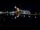 Webcam in Narva, 1.1 km entfernt