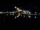 Webcam in Narva, 53 mi away
