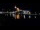 Webcam in Narva, 573.7 km