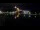 Webcam in Narva, 1.3 km entfernt