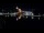 Webcam in Narva, 266.9 mi away