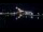 Webcam in Narva, 280.5 mi away