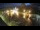 Webcam in Narva, 11.8 km
