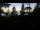 Webcam in Narva-Jõesuu, 5 mi away