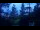 Webcam in Narva-Jõesuu, 615.4 km