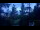 Webcam in Narva-Jõesuu, 214.9 km entfernt